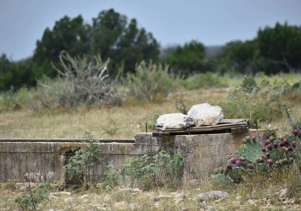 Environmental Considerations